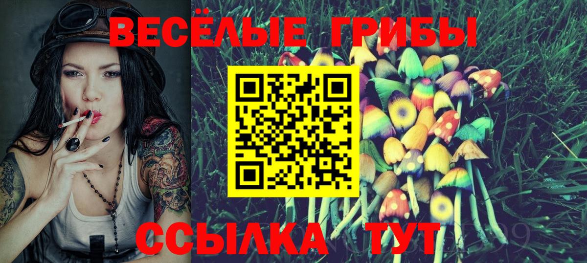 Галлюциногенные грибы Magic Shrooms  Вход с VPN  Дятьково 